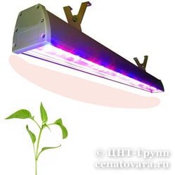 Светильник пром-фито для растений 54Вт (Fito-54W-700mm-L4-fs-IP54)