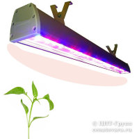 Светильник пром-фито с лампой для растений 40Вт 500мм IP54 светодиодный фитосветильник (Fito-40W-500mm-L3-fs-IP54)