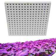Фитопанель светодиодная 45Вт для растений (Phyto-panel-310-310-45W-rb-IP20)